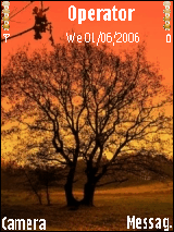 tree