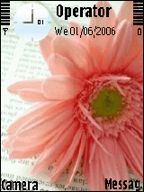 葵花