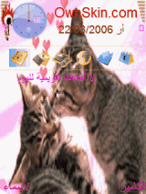 قط 