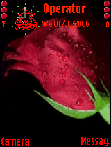 black & red