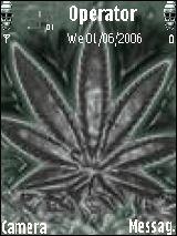 weed is my feed