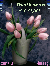 Flower & Plant      