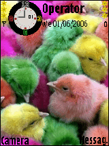 Color_Animals