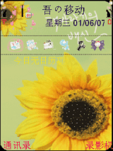 向日葵