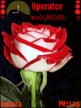 rose