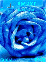 snop_doog911@hotmail.com