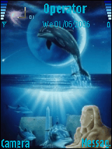 dolphin