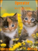2kitten^^