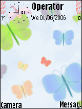 Butterfly