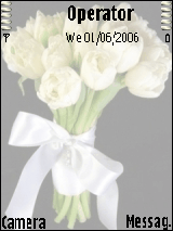 زهور 