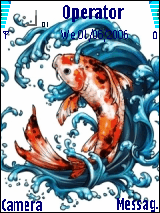 pez koi