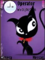 black cat