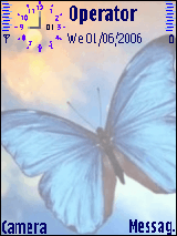 butterfly