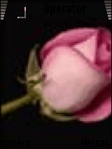 الورده