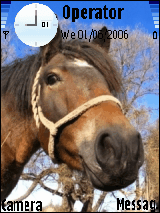 Horse