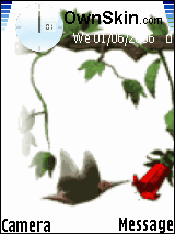 Animated_bird_flower