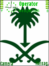 شاعر المملكه 