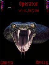 animal