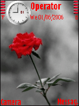 rose