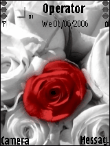 redrose