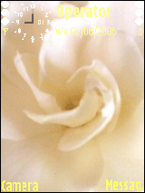 white flower
