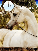 الفرس