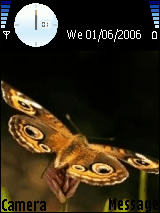 motyl