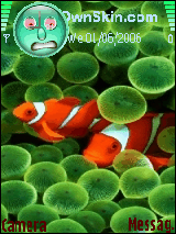 Pribadi