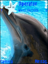 dophin