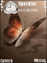 Butterfly