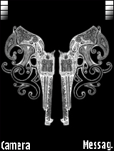 2 gun