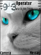 كات