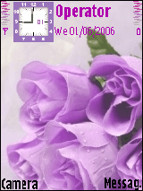 rose