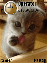 cat2