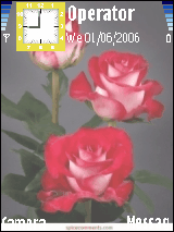 ROSE 1