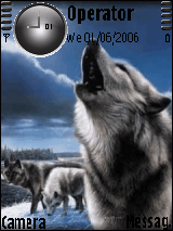 WOLF!!!!
