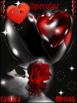 red rose