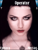 amy lee