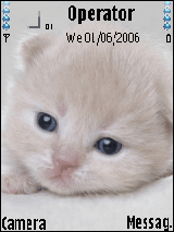caty1