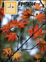 Autumn