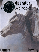 Horse