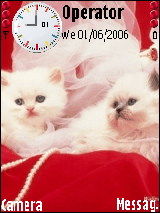cats