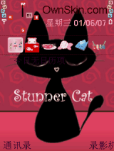 cat2