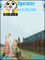 rabbit-1
