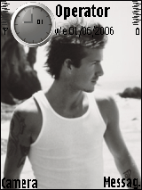 David Beckham