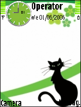 black cat