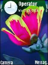 Evrard flower