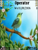 birds