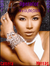 شيرين 2008