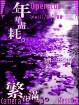 年华尽耗